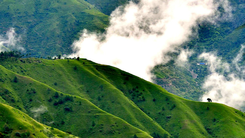 Exploring the Chail Sanctuary ⛰️