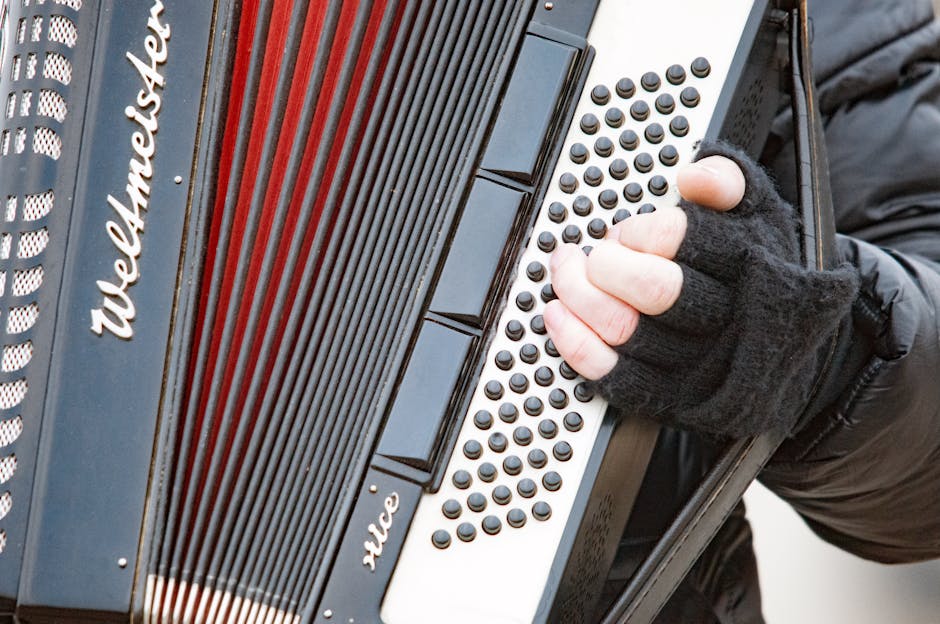 Close-up view of a musician playing an accordion on the street in Regensburg, Germany.