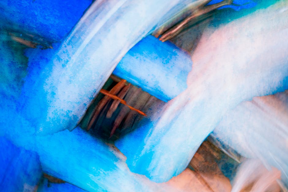 Universal Standard Torrid